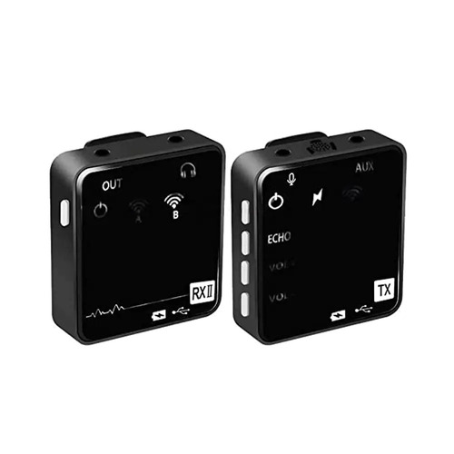 टाइप-सी चार्जिंग वन-फॉर-वन वायरलेस Lavalier मिनी माइक्रोफोन