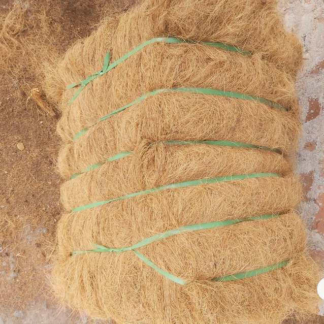 Coconut Coir