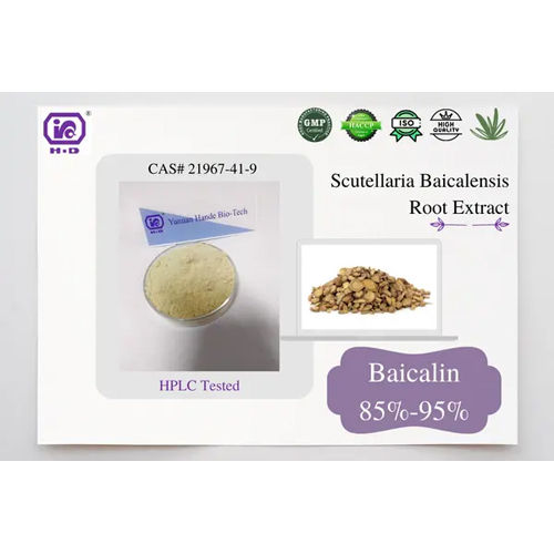 Scutellaria Baicalensis Root Extrac Baicalin Cas No: 21967-41-9