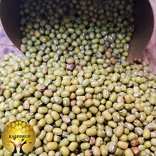 हरी देसी मूंग दाल