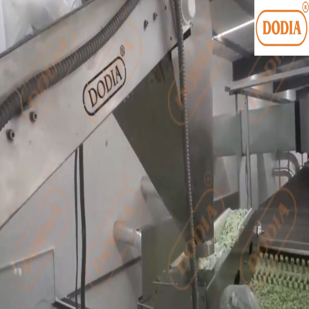Cabbage Dehydration Plant - Application: Industrial