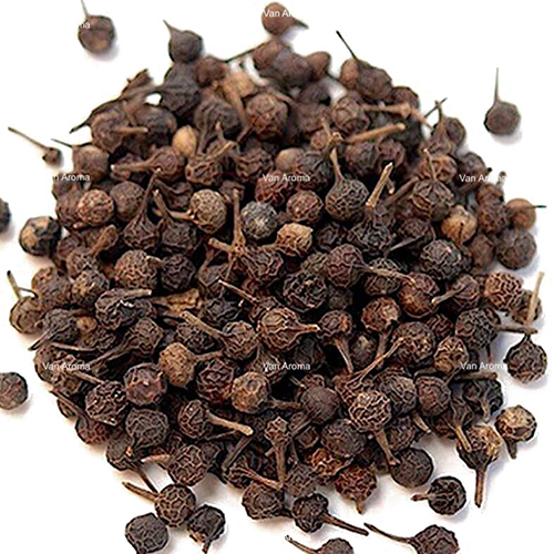 Cubeb Pepper - Solid Black Seeds | Pungent Aroma, Culinary Spice And Essential Oil For Fragrance In Cosmetics