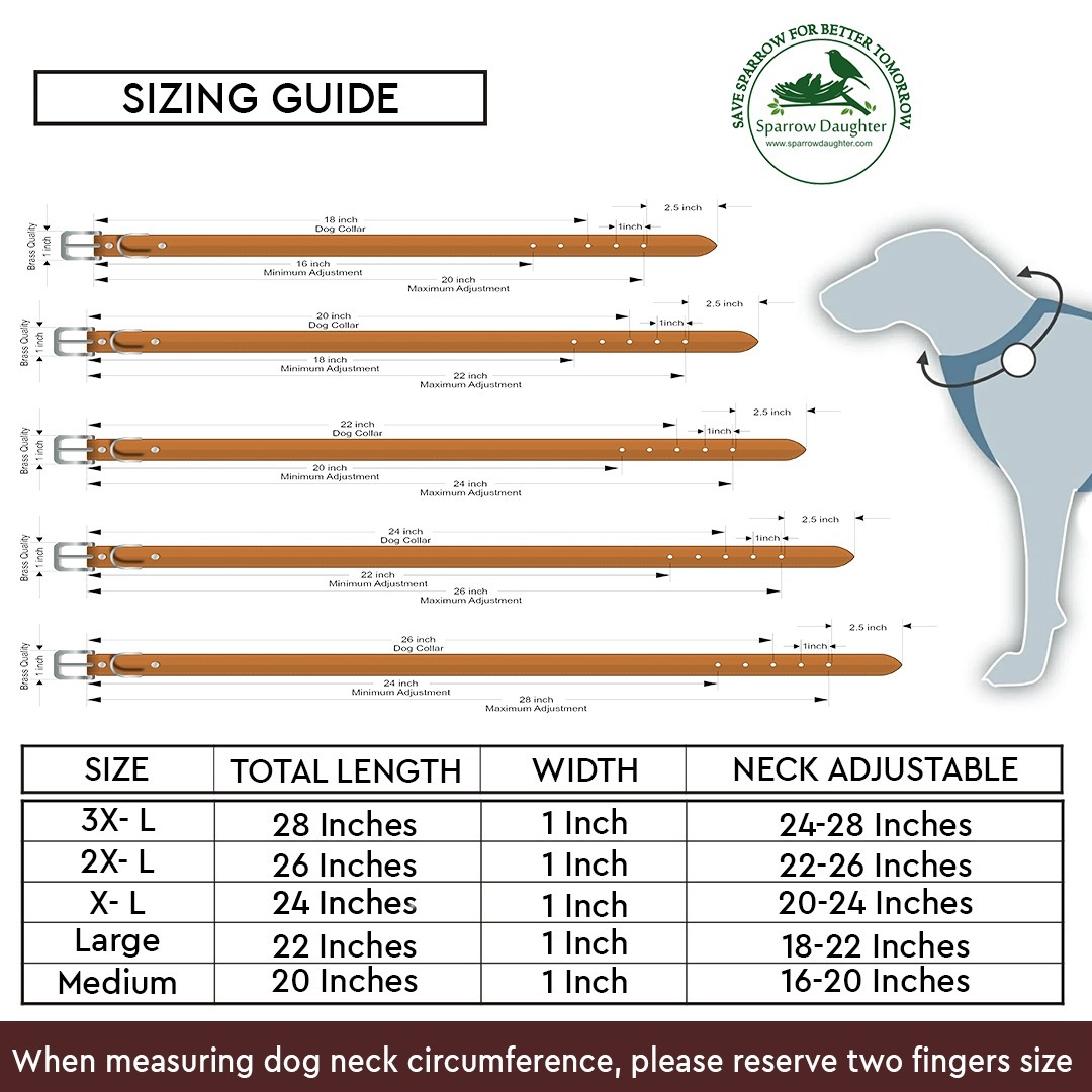 Sparrow Daughter Hand Made Studded Dog Collar - Leather, Multiple Sizes, Blue | Antique Brass Buckle, Durable, Handcrafted, Rust Resistant, Stylish Design