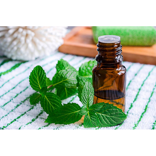 Mentha Oil Purity: High