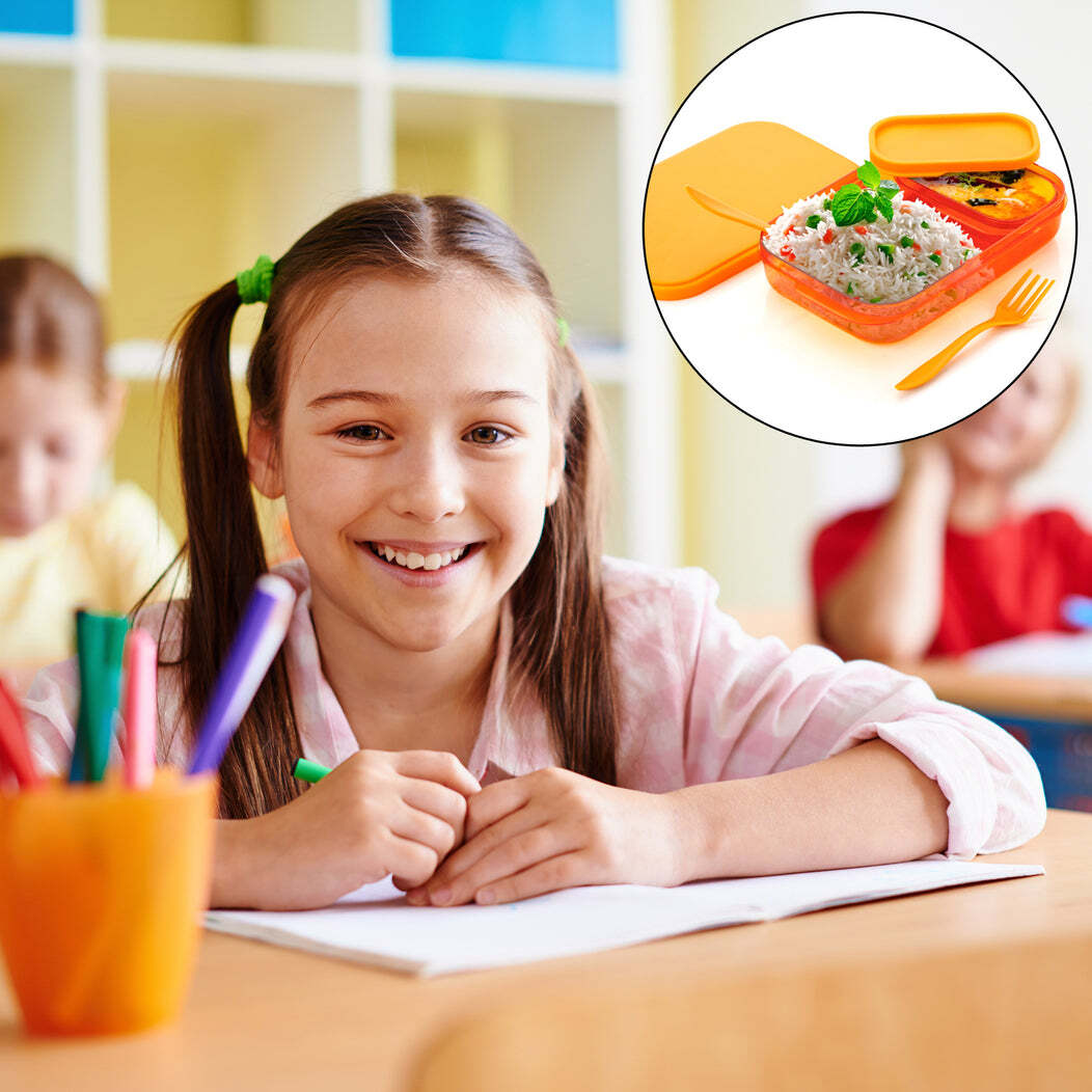 Premium Lunch Box(2044) - Plastic, 24x15x5 Cm | Unique Quadrate Compartment, Leakproof Design, Kid-friendly Latches, Bpa Free, Dishwasher Safe