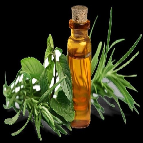 केवड़ा तेल