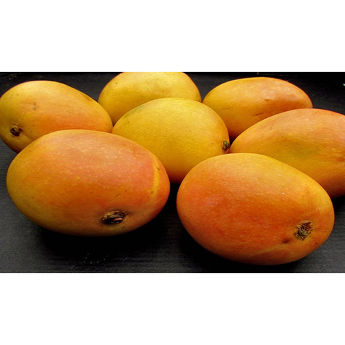 Fresh Mango - Whole Fruit, Sweet Flavor | Rich In Vitamins, Antioxidants, Ideal For Juices And Culinary Dishes