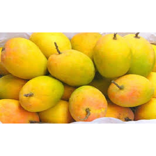 Fresh Mango - Whole Fruit, Sweet Flavor | Rich In Vitamins, Antioxidants, Ideal For Juices And Culinary Dishes