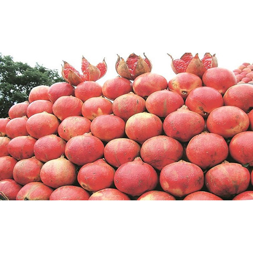 Fresh Pomegranate - Whole Fruit, Sweet Flavor, Non Glutinous, Rich In Antioxidants, Packed With Edible Arils, Heart Health Benefits