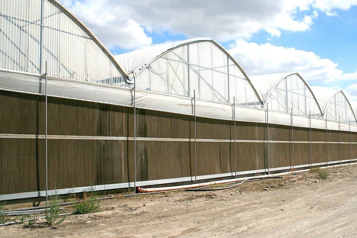 Brown And Green Brown Cellulose Pad Wholesaler In Shivajinagar Pune
