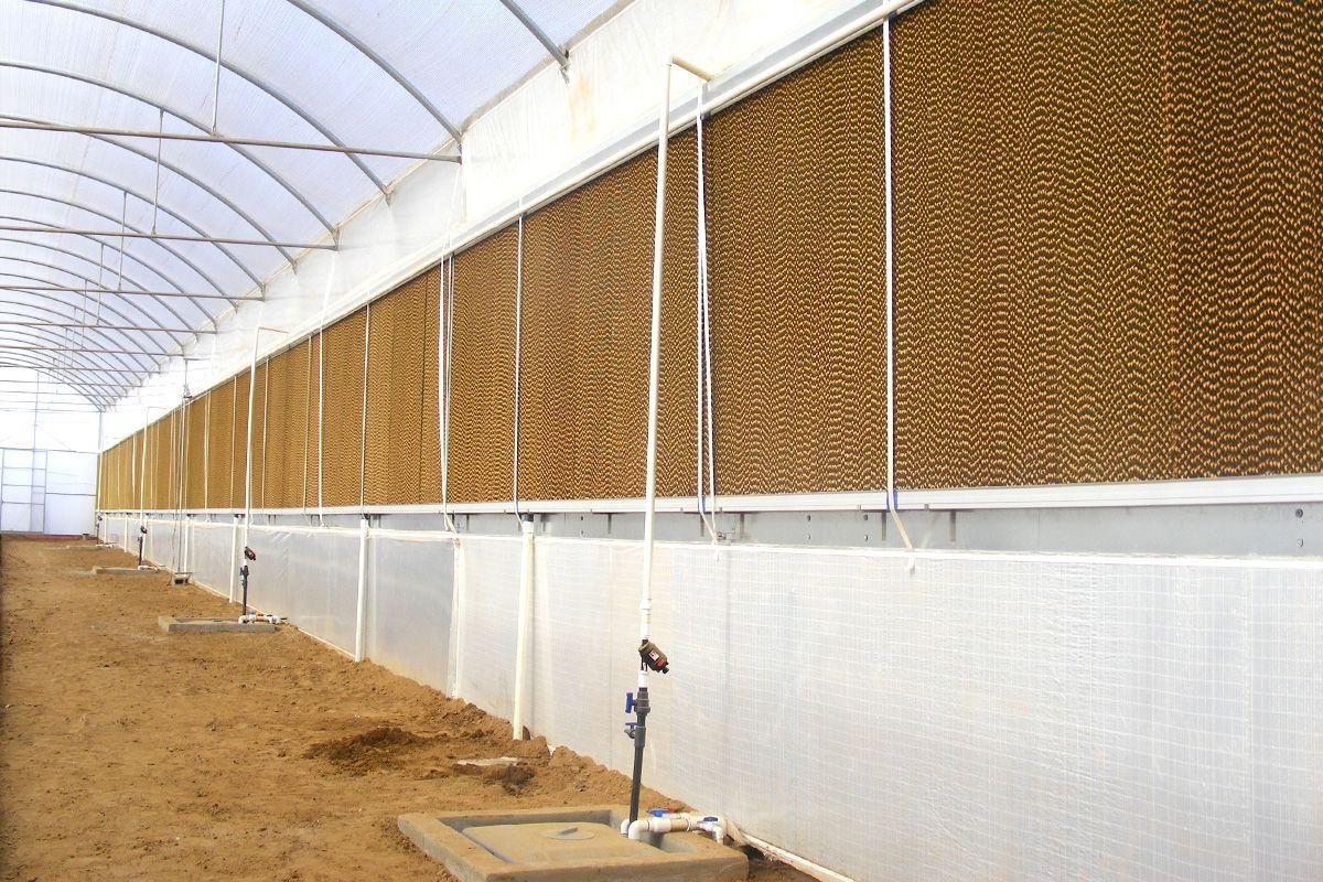 Brown And Green Brown Cellulose Pad Wholesaler In Shivajinagar Pune