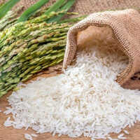 सफेद 1718 बासमती चावल