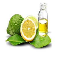 बर्गमोट एसेंशियल ऑयल्स एज ग्रुप: ऑल एज ग्रुप