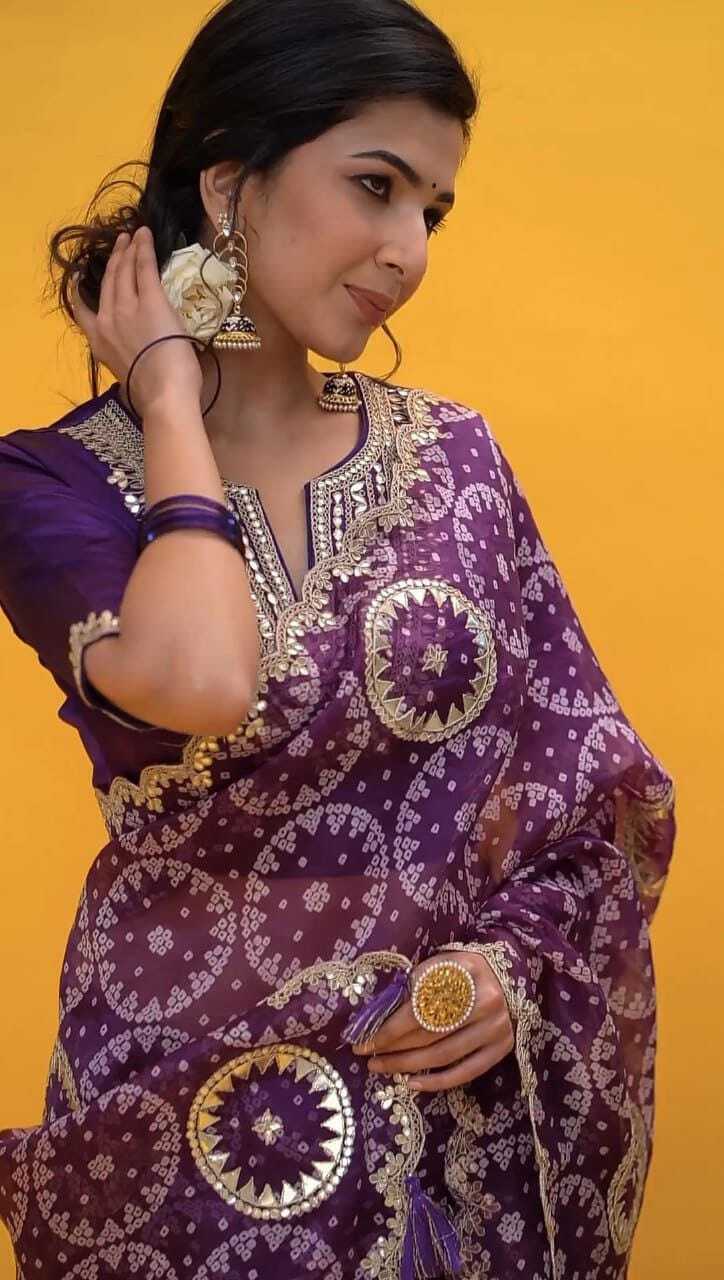 Party Wear Organza Saree