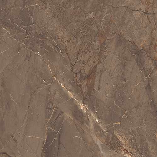 रॉयल मार्बल एप्लीकेशन: फ्लोर टाइल्स