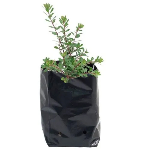 Hdpe Nursery Bag - Polished Finish, Various Sizes & Colors | Excellent Load-bearing Capacity, Moisture-proof, Eco-friendly