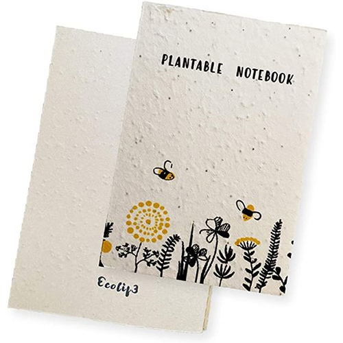 Eco- Friendly Stationary