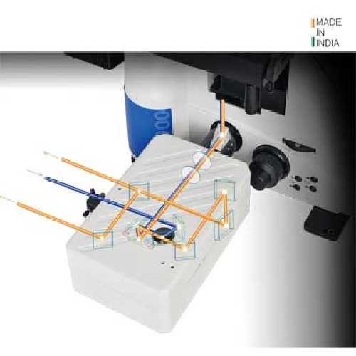 Confocal Microscope Application: Fluorescence Imaging In The Life Sciences