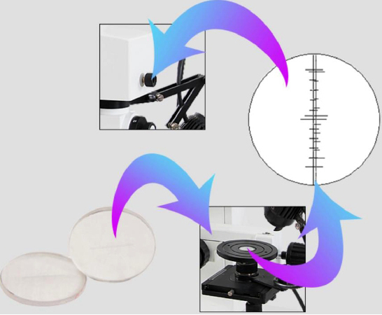 Motorized Comparision Microscope Application: Medical Science