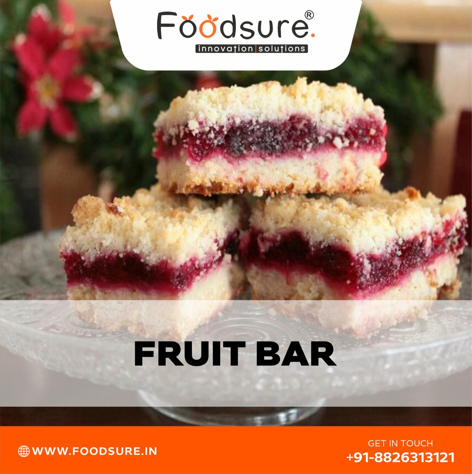 Foodsure Fruit Bar Making Machine - Stainless Steel, 500 Kg/hr Capacity, 20 Watt Power | Automatic, Computerized Control, Precision Quality Assurance, Customizable Features