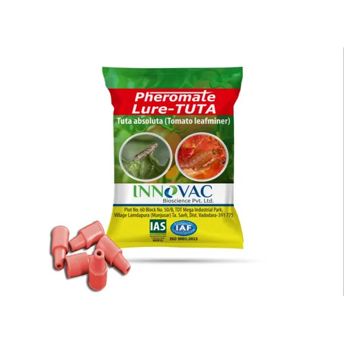 Pheromone Lure For Tuta Absoluta - Natural Rubber, Green Color | Traps For Tuta Absoluta Control In Tomato Farms, Warranty Included