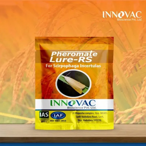 Pheromone Lures For Scirpophaga Incertulas - Rubber Dispensers, Brown Color | Agricultural Use, Effective Monitoring & Management Tool