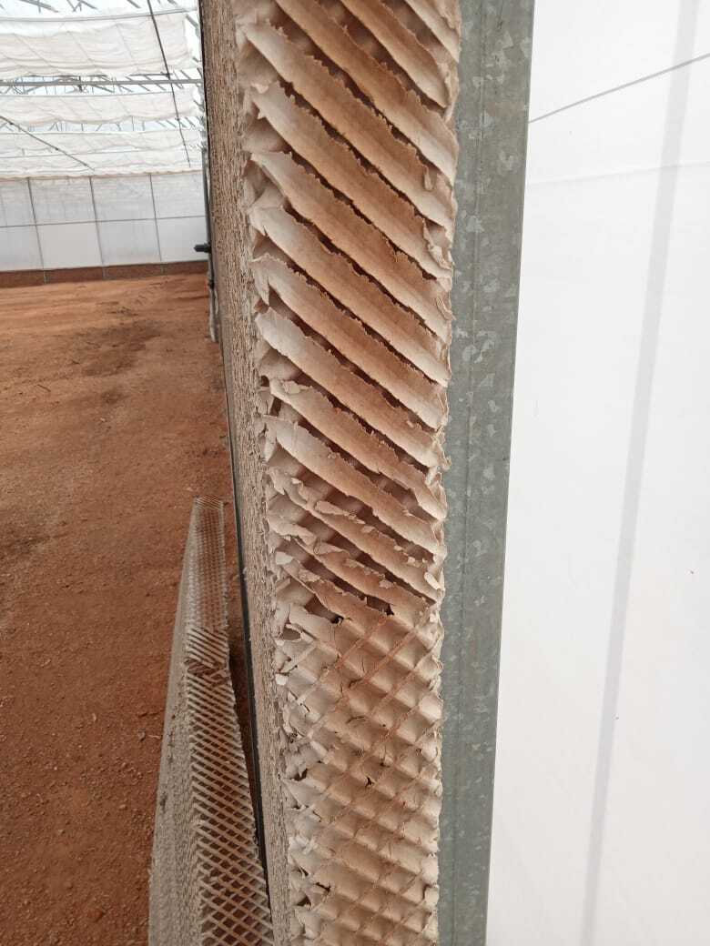 Brown And Green Brown Cellulose Pad In Kamla Market Ajmeri Gate Delhi
