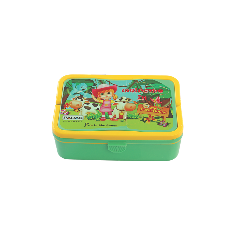 Picnic Lunch Box