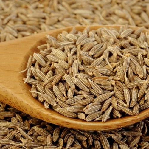 Brown Cumin Seeds