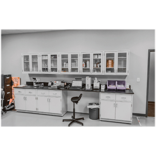 Durable Wall Side Lab Table With Overhead Storage