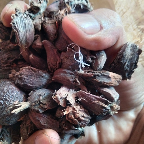 ब्राउन ड्राई इलाइची