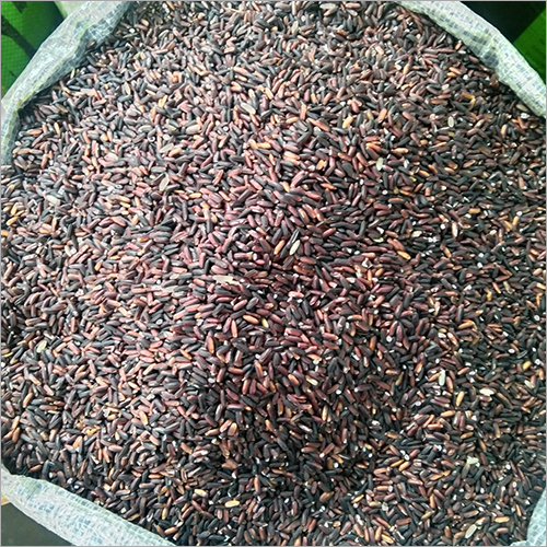 कॉमन ब्लैक स्टिगी राइस