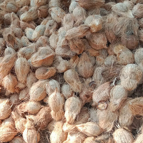ताजा नारियल