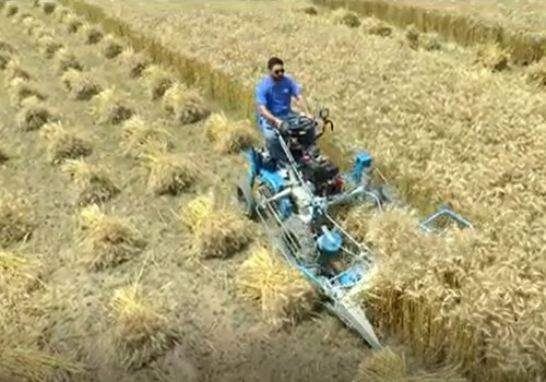 Bcs Self Propelled Reaper Binder Capacity: 0.75 Acre/hour