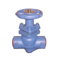 ब्लू स्पाइराक्स स्टेनलेस स्टील पिस्टन वाल्व