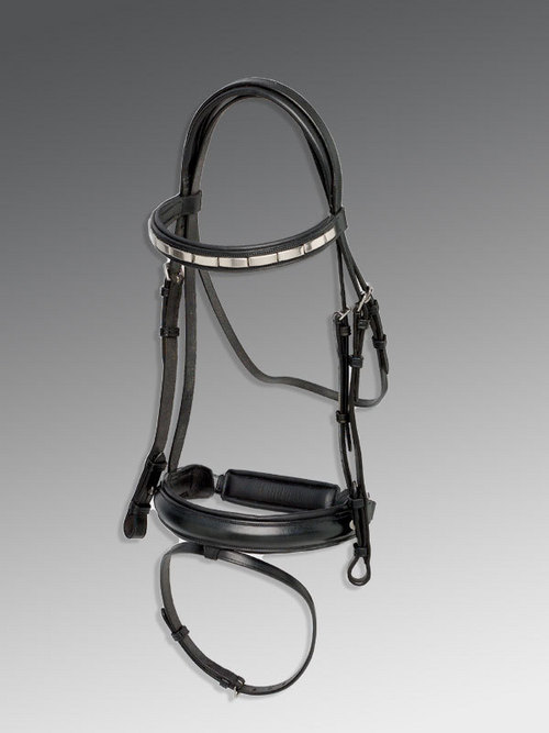 Western bridles