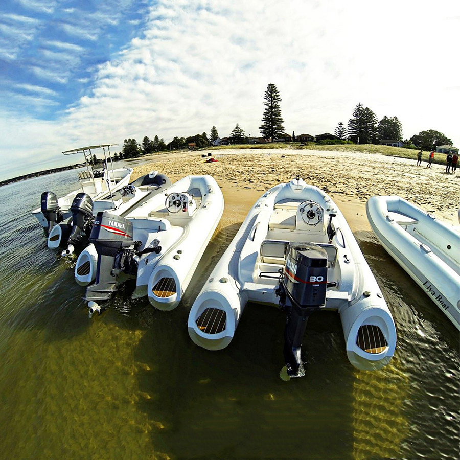 Liya 3.8m Rib Boat Pvc Hypalon Rigid Inflatable Boats Capacity: 780 Kg/hr