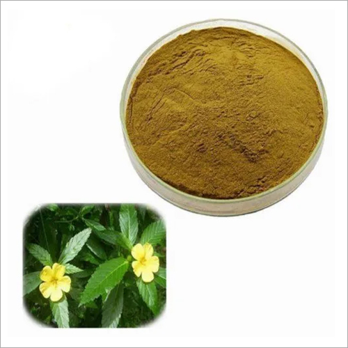 Damiana Extract