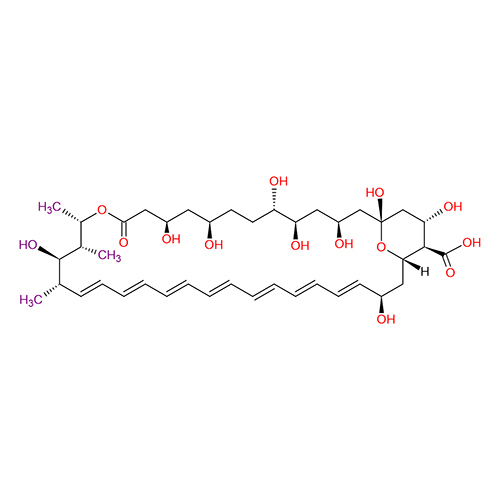 एम्फ़ोटेरिसिन बी स्टोरेज: कूल प्लेस