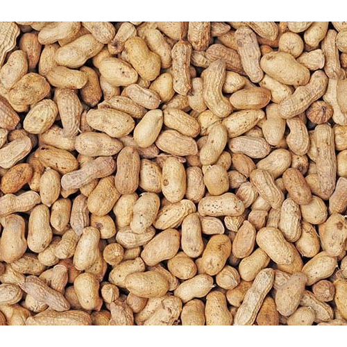 सामान्य प्राकृतिक मूंगफली
