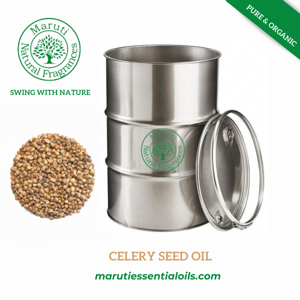 10ml Celery Seed Essential Oil Purity: 100%