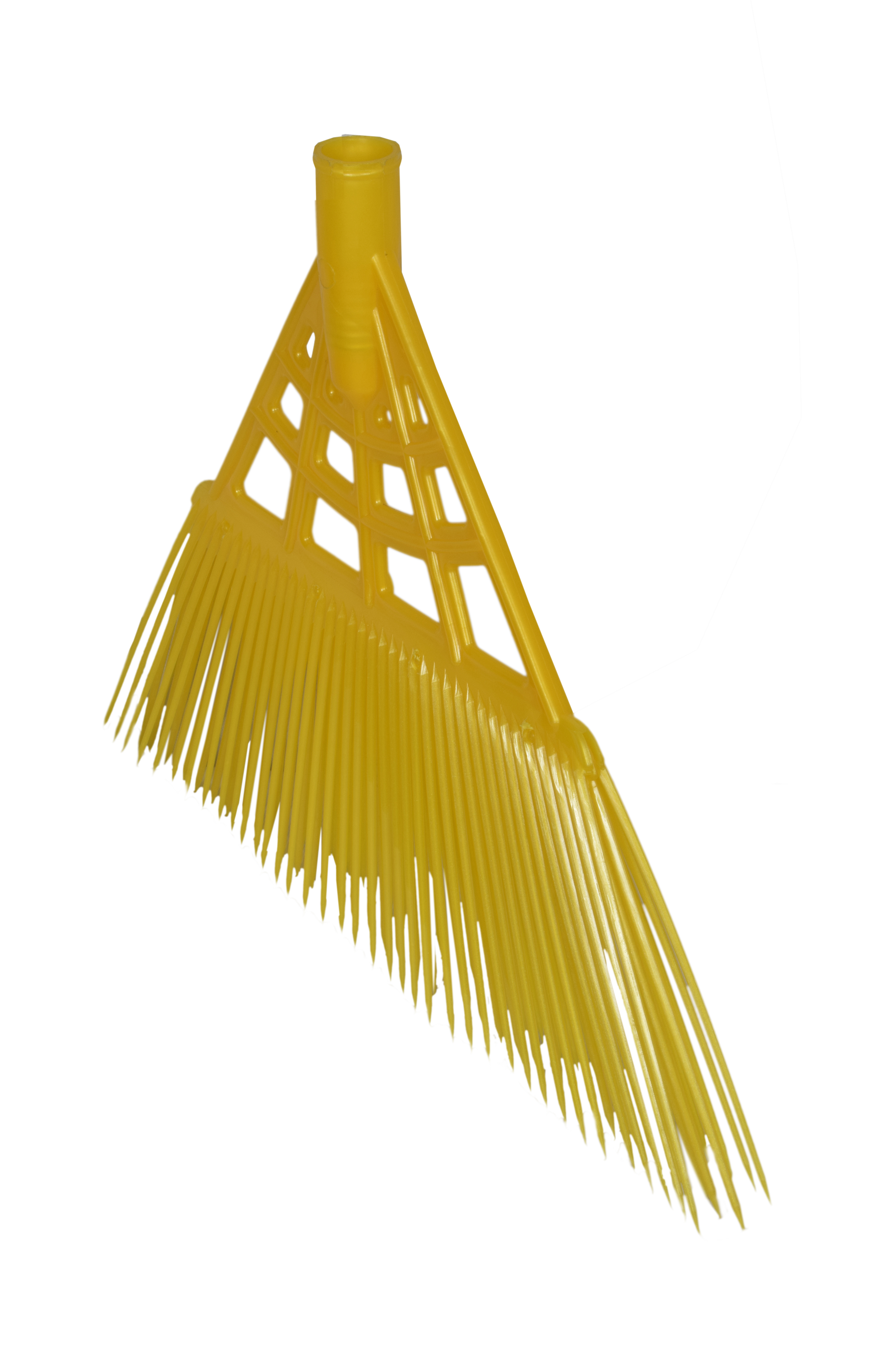 Yellow Garden Broom