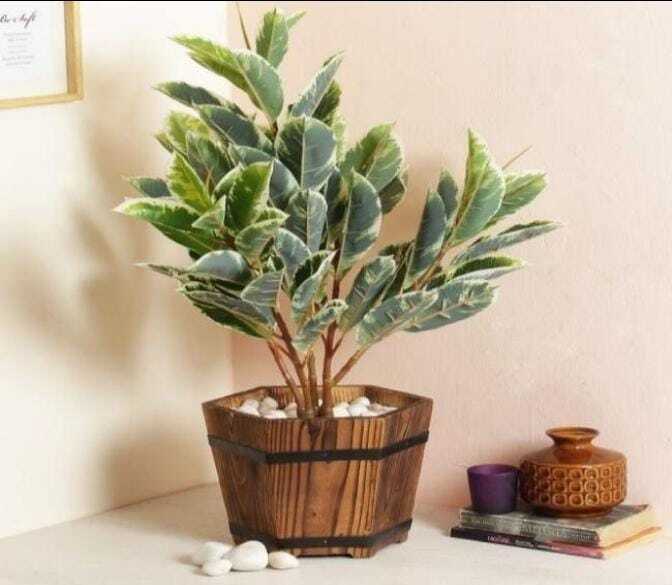 Green Artificial Plant Garden