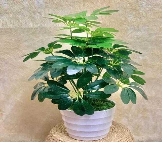 Green Artificial Plant Garden