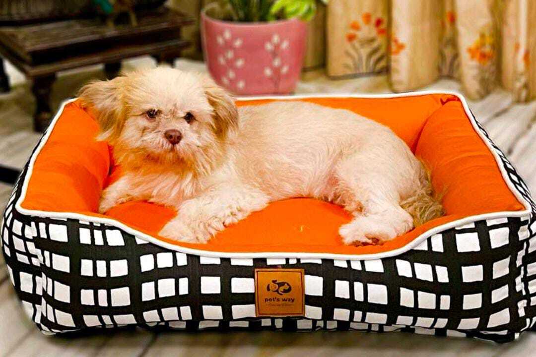 Dog Beds - Soft Touch Cotton Cover | Machine Washable Zip-off Cover Sturdy Bolsters For Nesting Adaptable Body Support Stylish Woven Fabric
