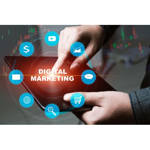 Website Seo Services