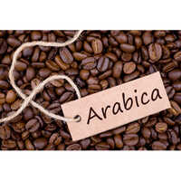  अरेबिका कॉफ़ी बीन्स 