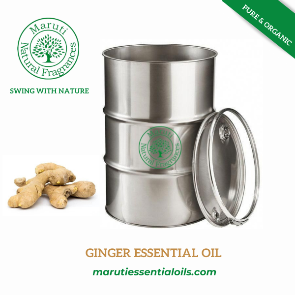 Ginger Oil - 100% Pure, 5-year Shelf Life | All Age Groups, Natural Ingredient