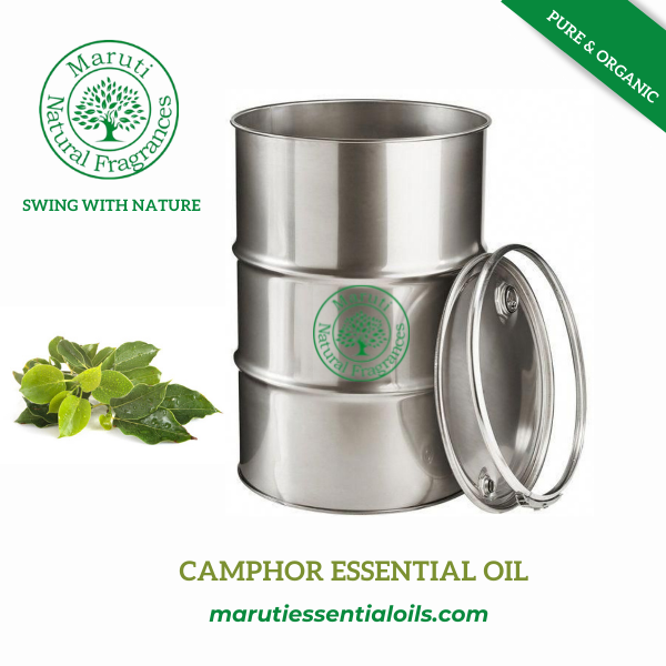 Camphor Oil - 100% Pure Liquid Extract, Steam Distilled For Pain Relief And Skin Ailments | Antibacterial, Antifungal, Disinfectant Properties, 36 Months Shelf Life