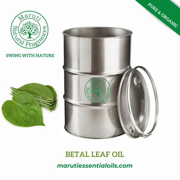 Betel Leaf Oil - 100% Pure, 2-year Shelf Life | Ideal For All Age Groups, Store In Dry Place